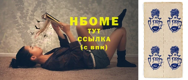 индика Сафоново